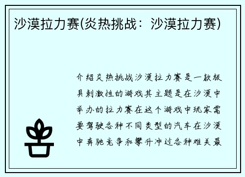 沙漠拉力赛(炎热挑战：沙漠拉力赛)